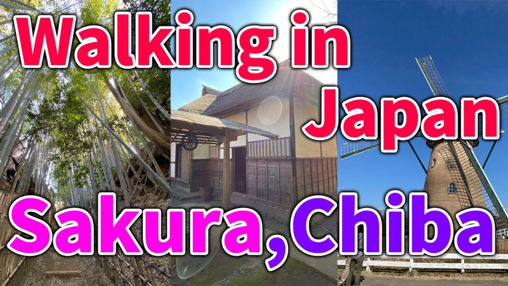 【Japan】Walking in Saskura, Chiba