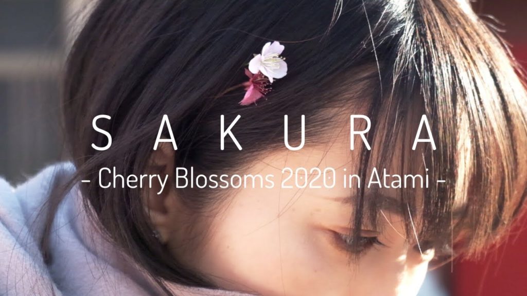 SAKURA - Cherry Blossoms 2020 in Atami -  | CINEMATIC VLOG (video) | FUJIFILM X-T30