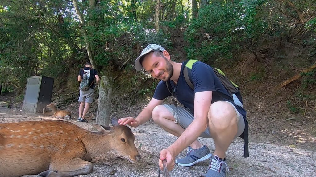 Giappone Discovery 2019