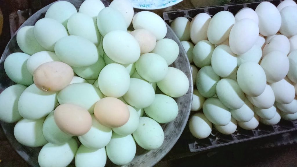 EGG BOIL: Very Propolar Healthy Egg Boiled Food Ever-Indian Street Food | Egg Boil