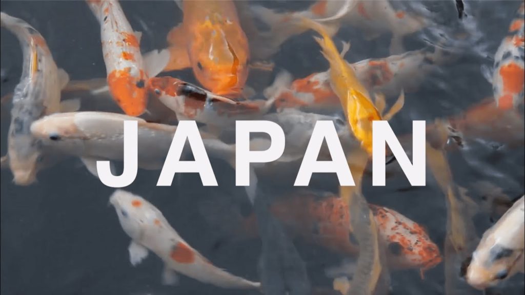 Experience The Beauty Of Japan