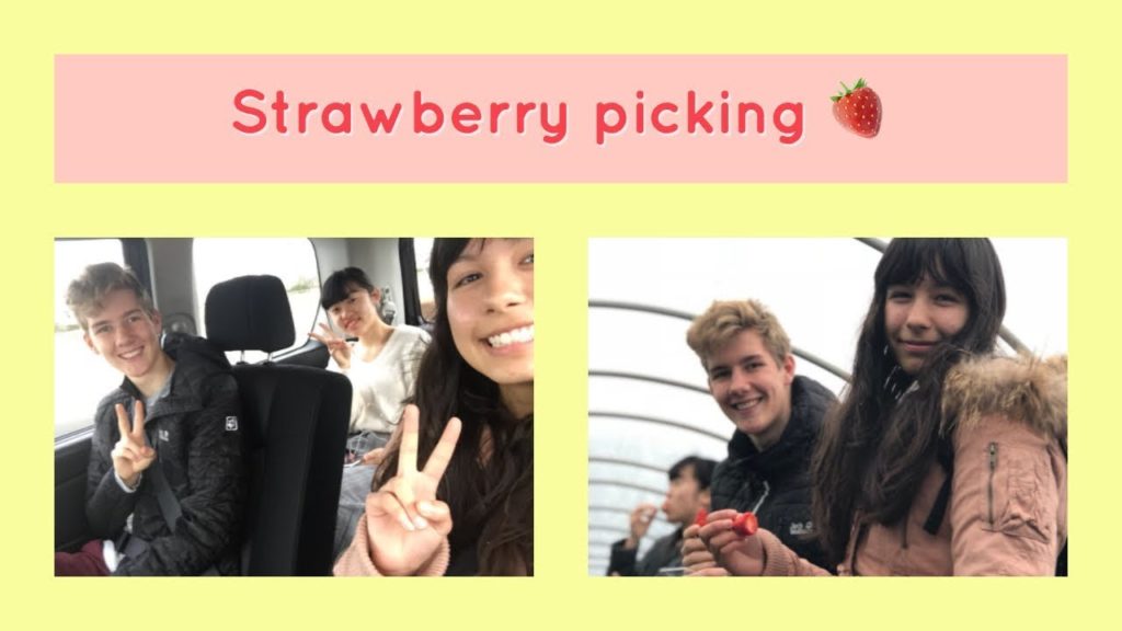 Meeting my boyfriend's host family and strawberry picking 🍓- Japan Exchange Vlog 18