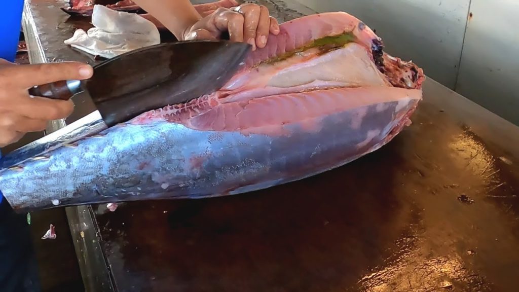 Tuna $500 30KG Fish Fillet Fast Way of Tuna   Fish Fillet by KnifeTuna Fish - Fillet Knife Technique