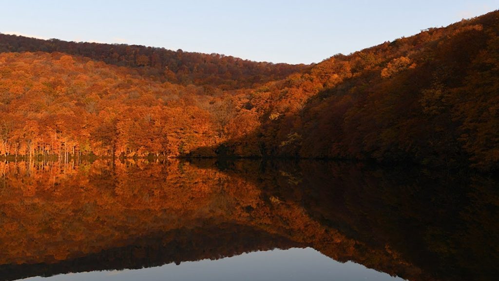 朝日を浴びて輝く蔦沼の紅葉　青森・十和田
