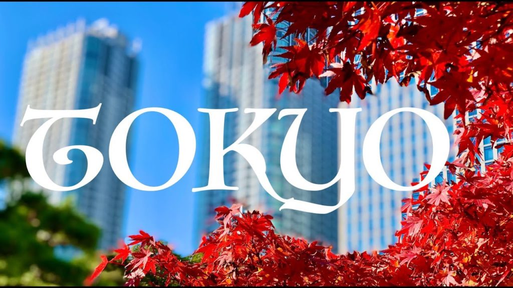 TOKYO Travel Guide / Japan Travel TOKYO Travel Guide / Japan Travel