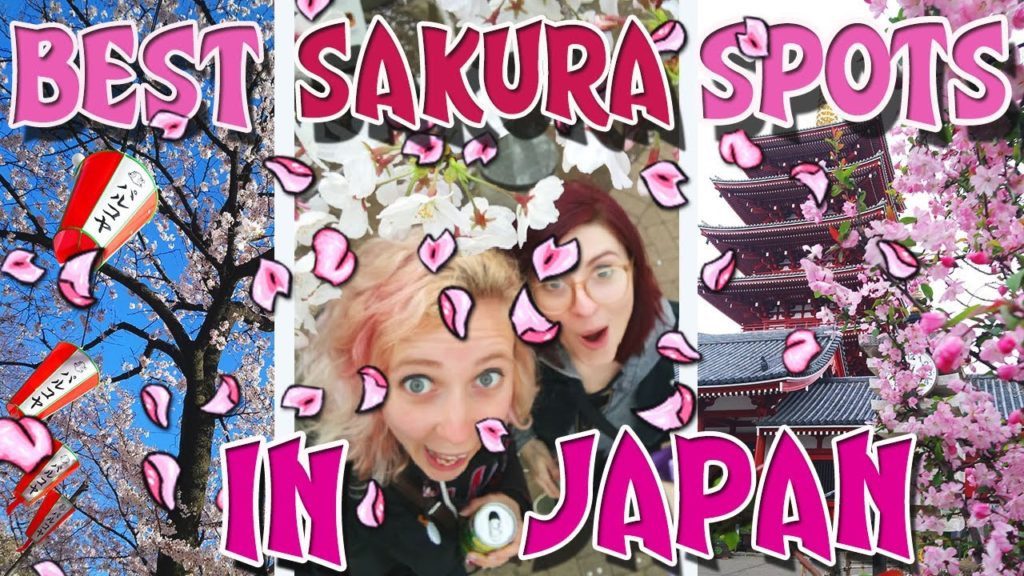 CHERRY BLOSSOM Season in JAPAN 2020 | Sakura Guide | What to See and Do
