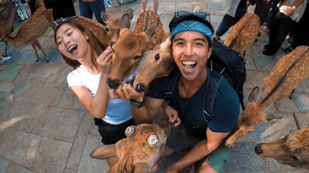 286 | AVOIDING Kyoto crowds and CHANGING plans!!! (Japan Travel VLOG)