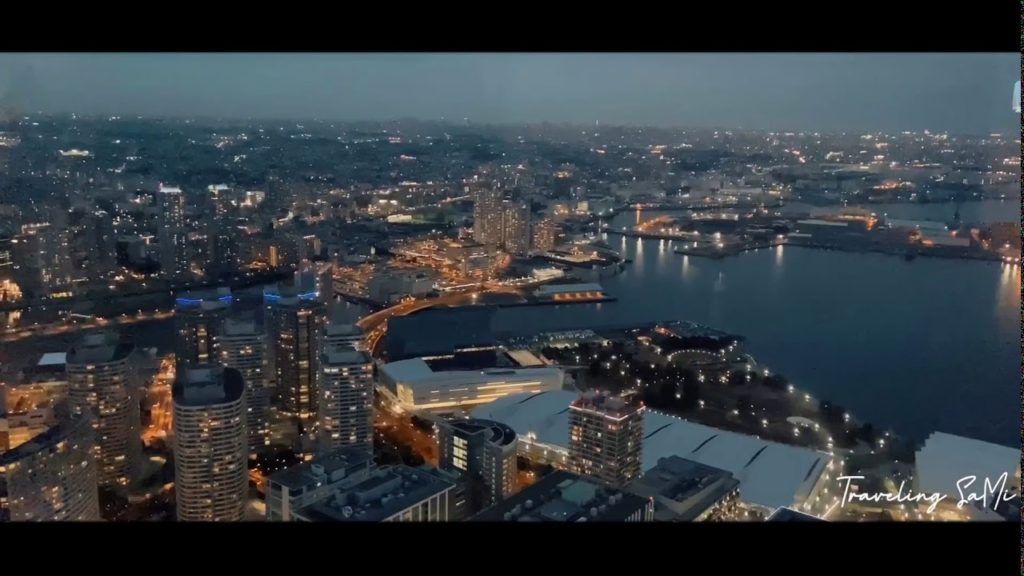 Japan Trip 2020 || Top Places in Tokyo || Traveling SaMi Japan Trip 2020 || Top Places in Tokyo || Traveling SaMi