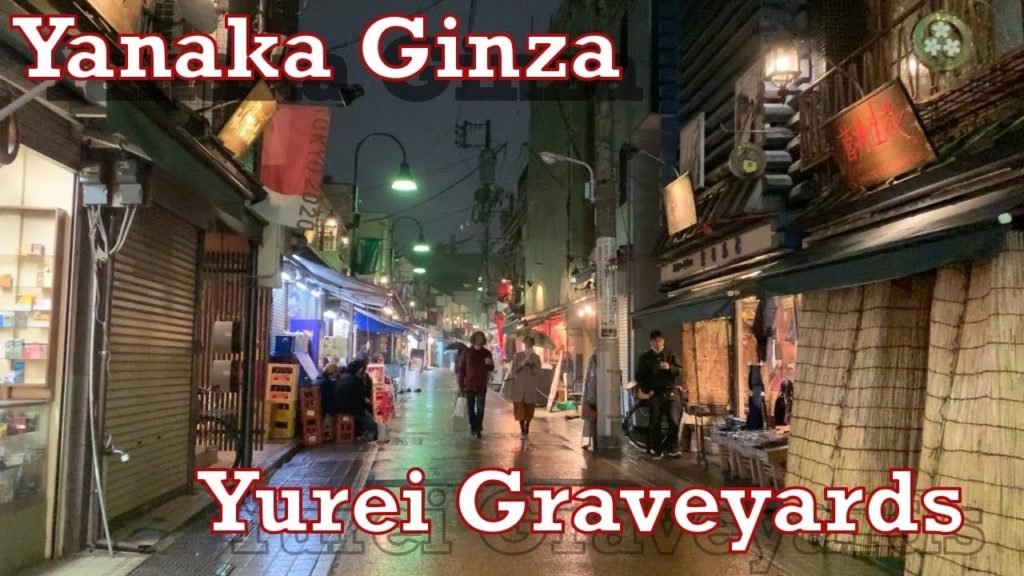 Japan Walk Highlights 2020.02.16 Yanaka Ginza Temples Huge Cemetery Exploration Travel Rain Tour