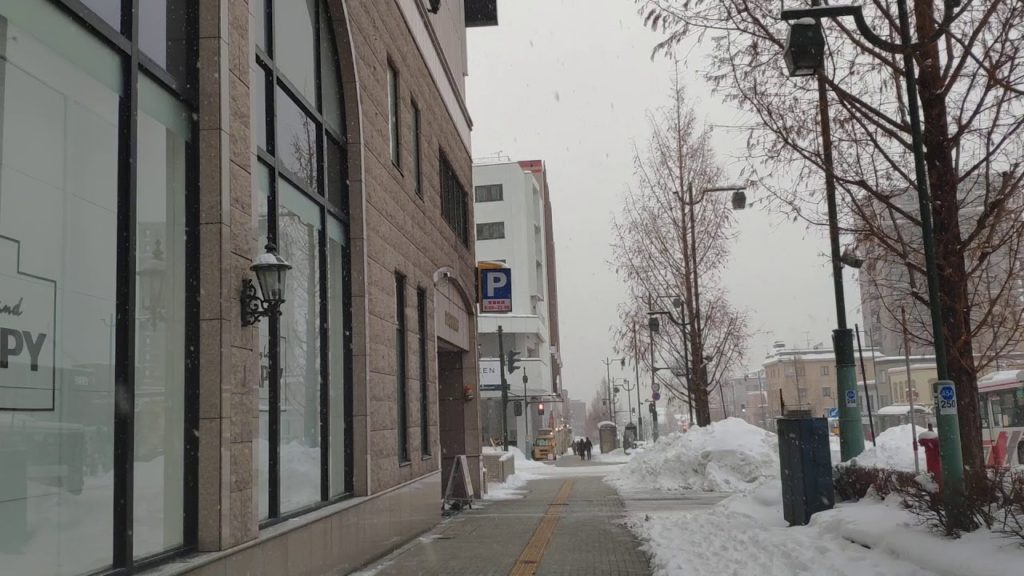 2020小樽雪景Otaru Snow View 20200209 16:16