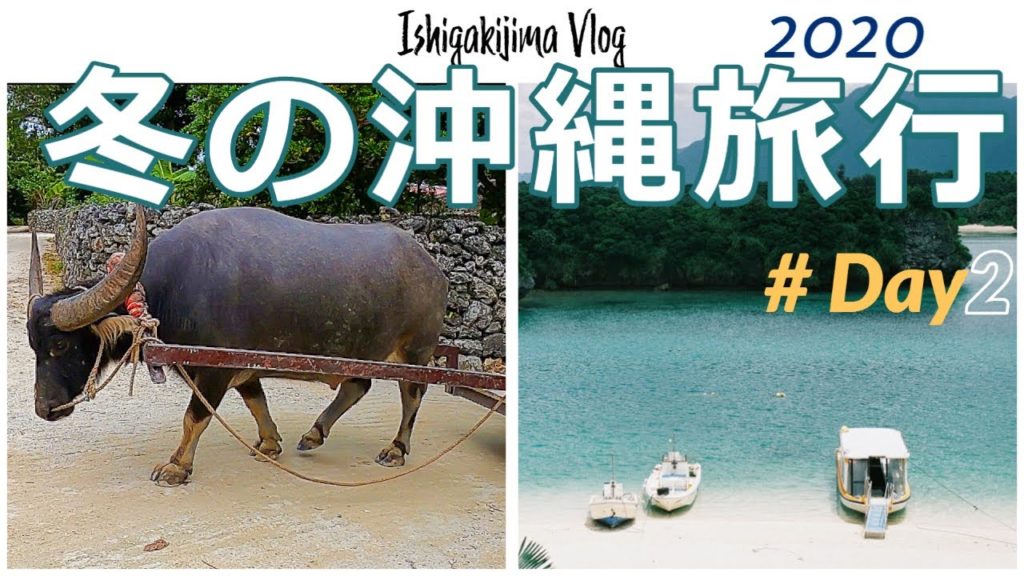 冬の沖縄旅行 2020 おすすめ離島観光アクティビティ