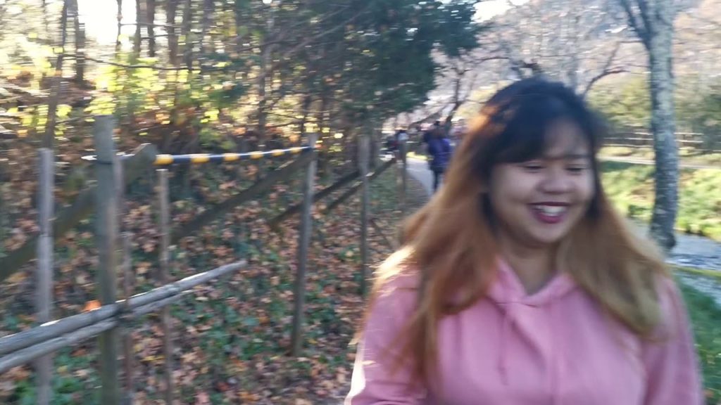 #Chrisventurous: MT. FUJI!!! (Ichiran + Unlimited Beer at Shinjuku) #Chrisventurous: MT. FUJI!!! (Ichiran + Unlimited Beer at Shinjuku)