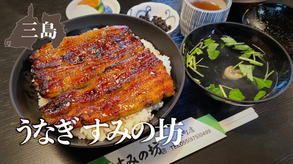 三島のうなぎ四天王！「すみの坊 本町店」に行ってきた！ / VLOG #26（2020年1月）