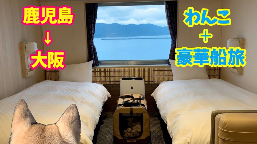 【わんこと船旅⚓️】さんふらわあ ウィズペットルームで超快適🐾鹿児島→大阪をわんこと豪華 船の旅🐕〜ご当地グルメに舌鼓し続けた元野良犬の末路〜2019年12月