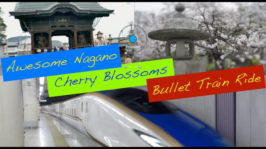 Mt Fuji Bus Ride, Bullet Train to Nagano & Cherry Blossom Bloom Mt Fuji Bus Ride, Bullet Train to Nagano & Cherry Blossom Bloom