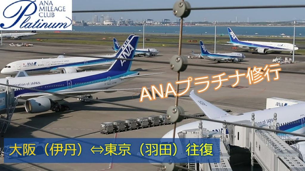 ANAプラチナ修行　大阪（伊丹）⇔東京（羽田）往復　ボーイング777-200