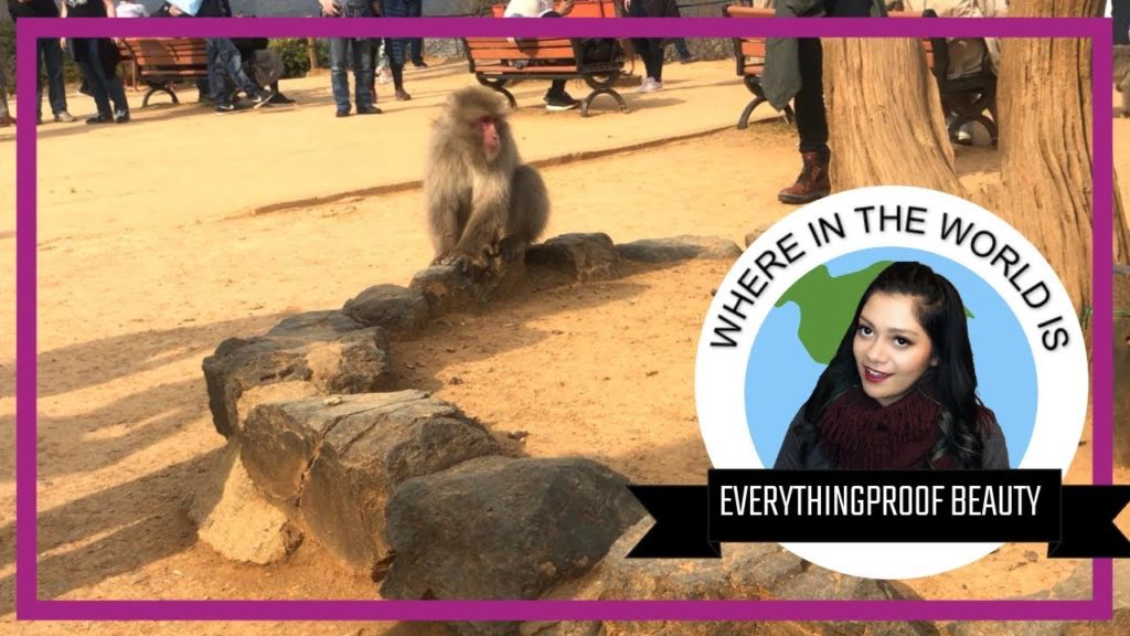 Arashiyama Monkey Park Japan Travel Vlog