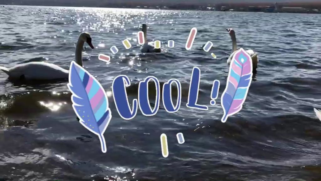 Autumn in Japan 2019 : v.2