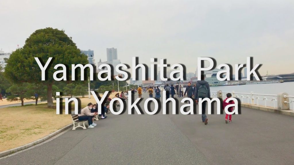 Walking along Yamashita Park, a tourist attraction in Yokohama