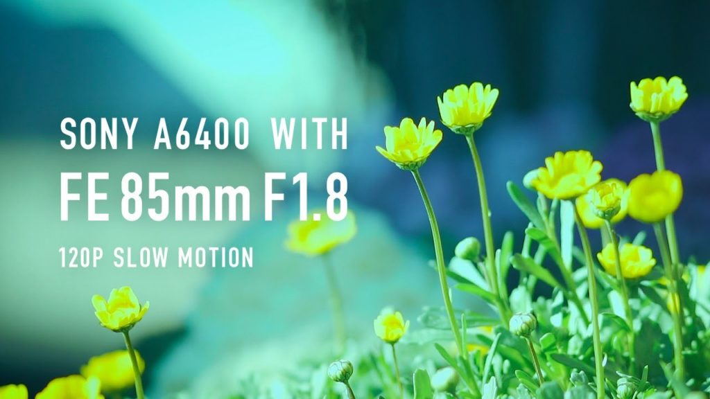 Sony | A6400 | FE 85mm F1.8 | CINEMATIC B ROLL | PP10 | 120P SLOW MOTION