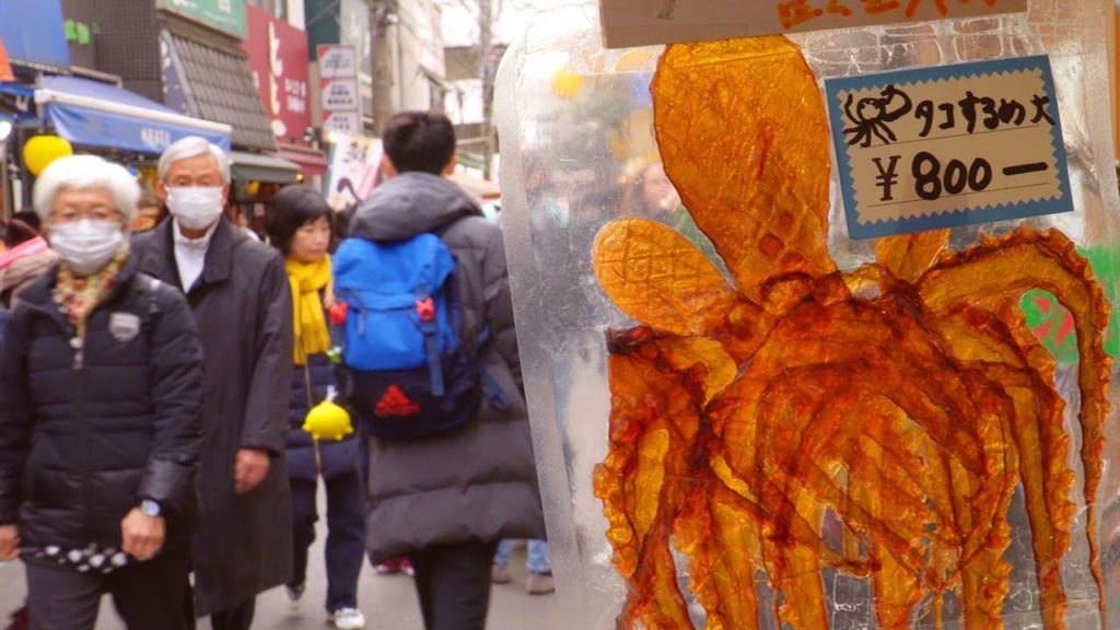 Street Food in Japan | TSUKIJI Fish Market Tokyo