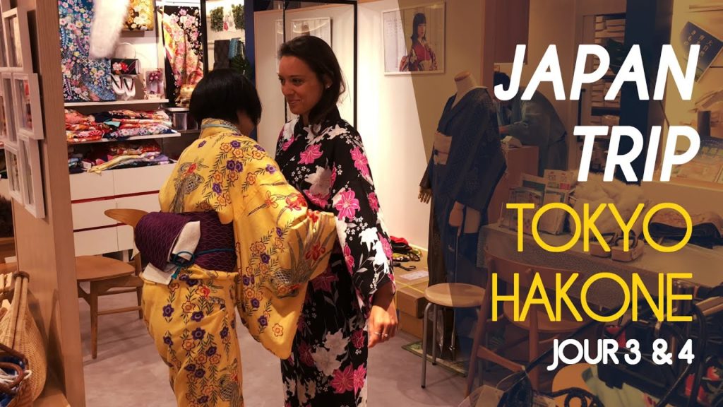 JAPAN TRIP - TOKYO ET HAKONE #2