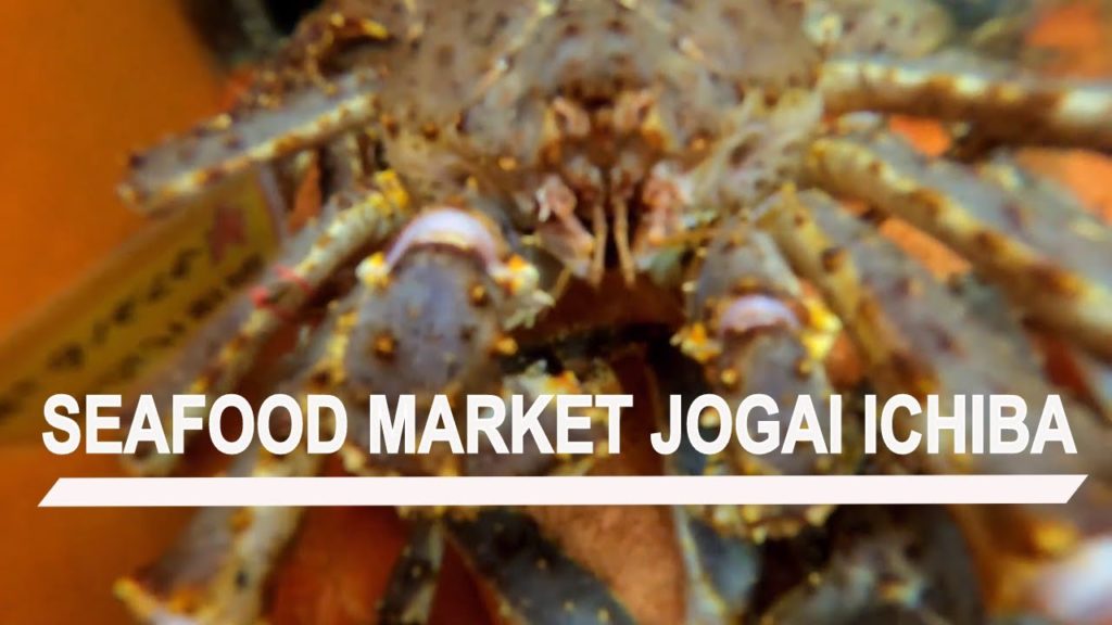 TRAVEL VLOG : Seafood Market | Jogai Ichiba | Sapporo Hokkaido