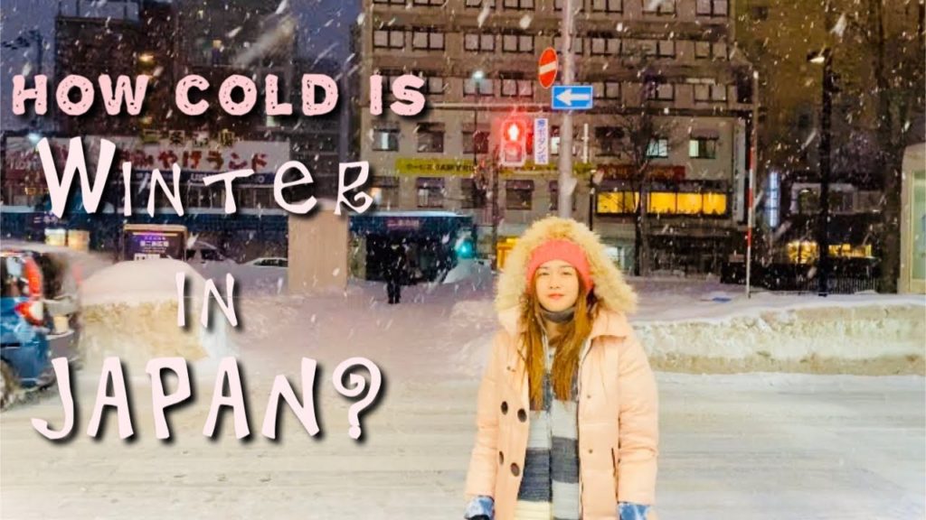 Winter in Hokkaido Japan