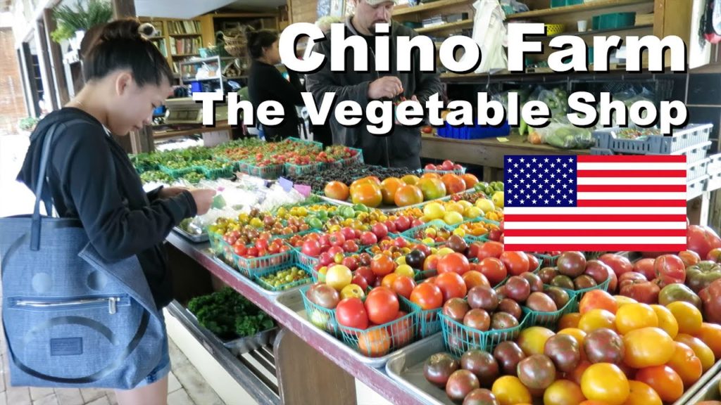 Chino Farm, California - Highest Quality Produce