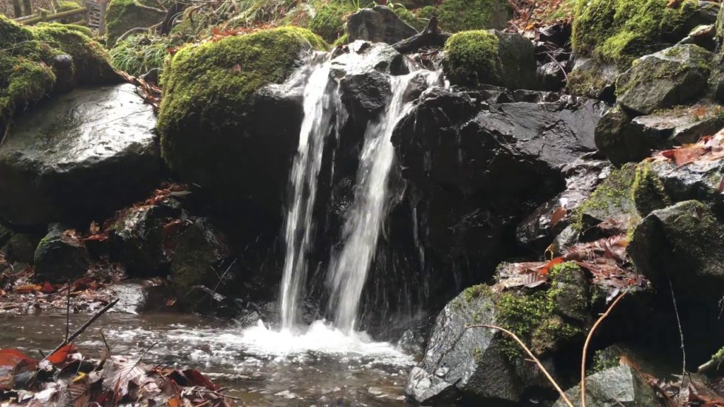 Natural Trip【0078】