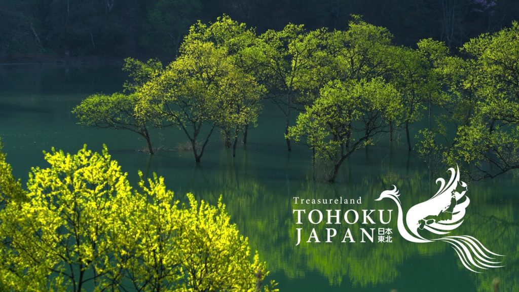 Retrace Your TOHOKU, Japan in 8K HDR Retrace Your TOHOKU, Japan in 8K HDR