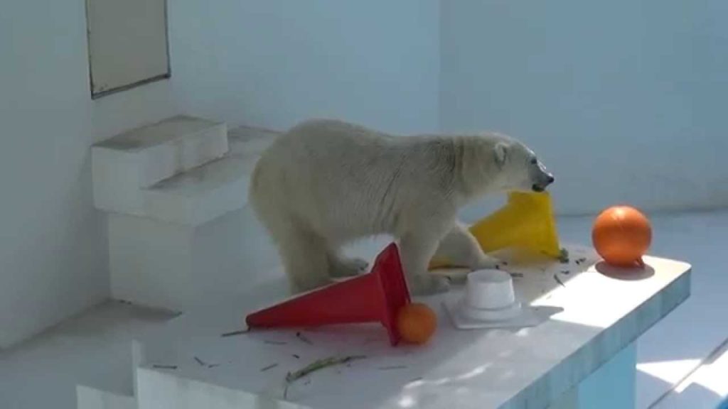 One Saturday afternoon of Marle, at Kumamoto City Zoological and Botanical Gardens, Japan