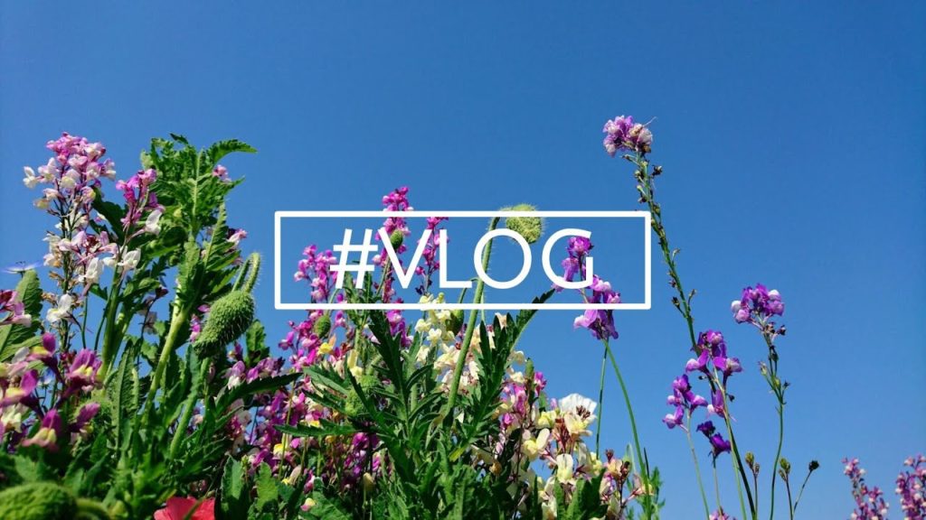 VLOG #25 2017 Spring around Nagoya