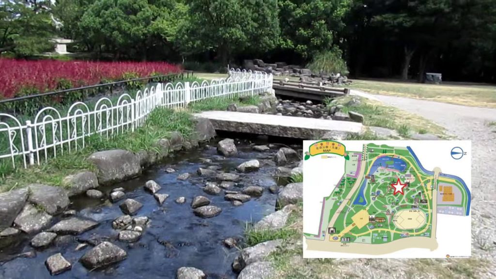 Walk through Meijo-park. 【Walk through sightseeing spot in aichi. 】