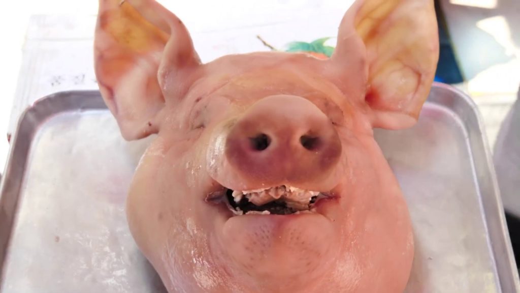 #japan Pig Head Soup   Korean street food   맛좋은 돼지국밥 순대국밥 1AKYe4