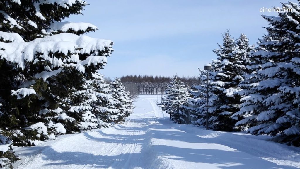 sapporo hokkaido Moerenuma park in winter 2020 삿포로 모에레누마공원 北海道 冬のモエレ沼公園