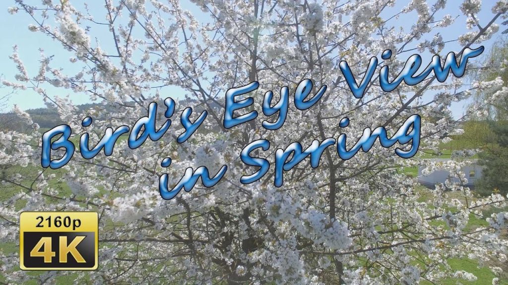 Birds Eye View of Altrich in Spring – Germany 4K Travel Channel Birds Eye View of Altrich in Spring - Germany 4K Travel Channel