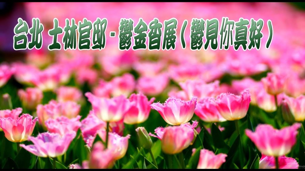 2020 🌷士林官邸鬱金香展(鬱見你真好) 🌷(2/14至2/23)(JEFF 4K video)-Taipei Shilin official Tulip Show taiwan#jeff0007
