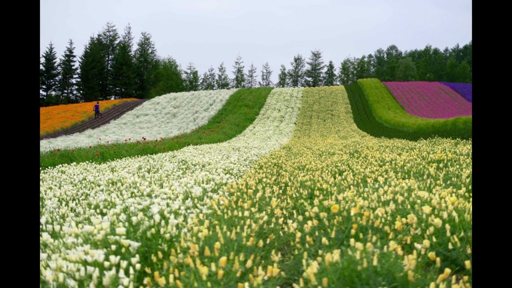 2016.7.17 北海道五日遊 DAY 2