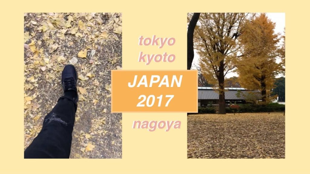 Japan Trip 2017 | Tokyo, Kyoto, Nagoya (food + sightseeing)