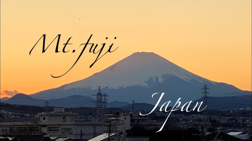 Today is the omnibus！　（天候不良のため１月の総集編）