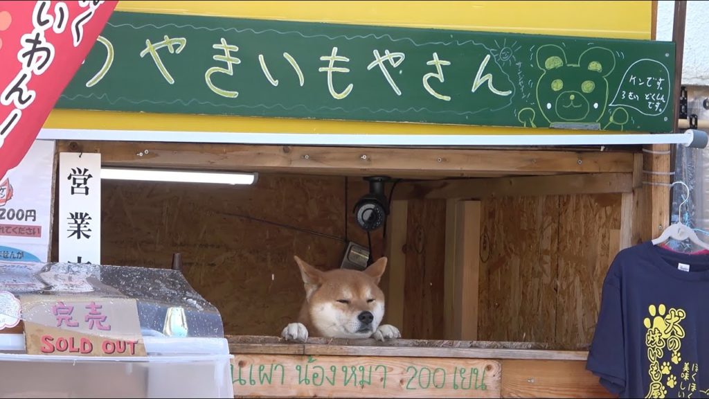 【札幌新名物】犬の焼きいも屋さんに行ってきた　犬やきいも
