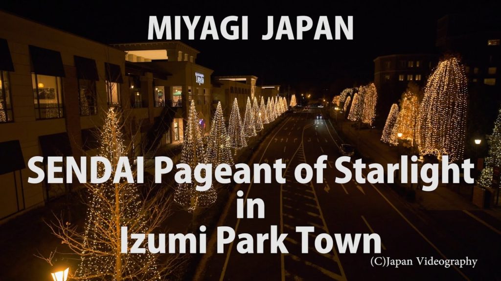 [4K]東北の美しいイルミネーション SENDAI 光のページェントin泉パークタウン 2016