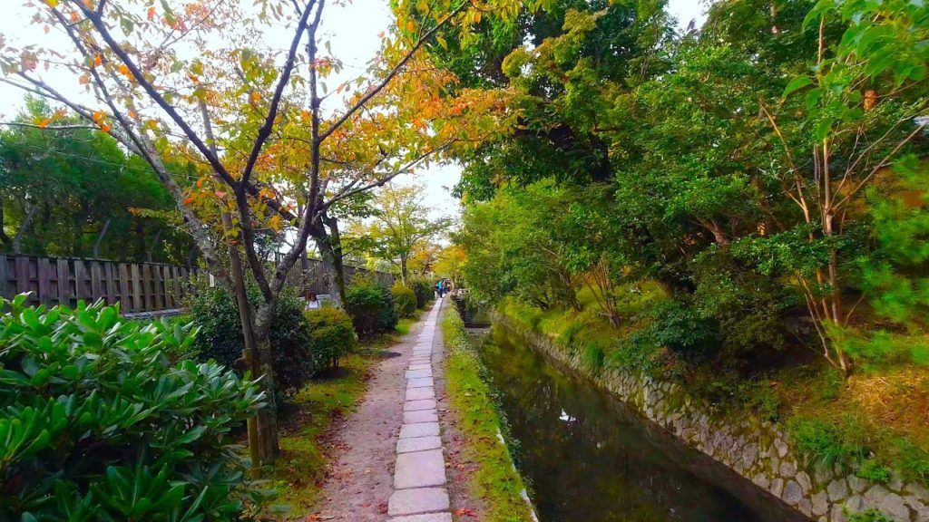 Kyoto walk – Philosopher's Walk (哲学の道) – 4K Kyoto walk - Philosopher's Walk (哲学の道) - 4K