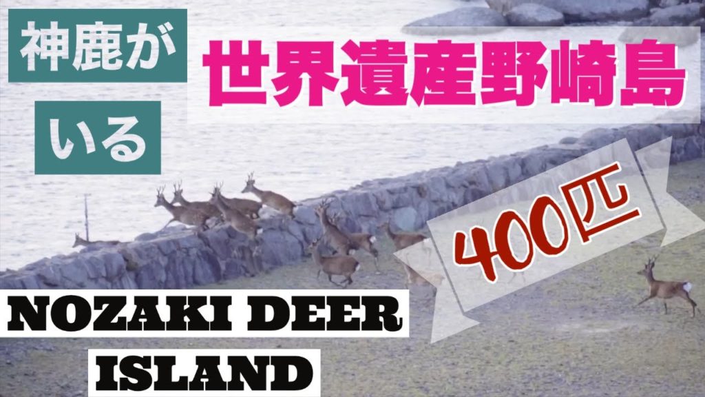 探検ロマン世界遺産 「絶景!神鹿と野崎島にある野首教会から」Nozaki island is a UNESCO World Heritage Site in Japan 探検ロマン世界遺産 「絶景!神鹿と野崎島にある野首教会から」Nozaki island is a UNESCO World Heritage Site in Japan