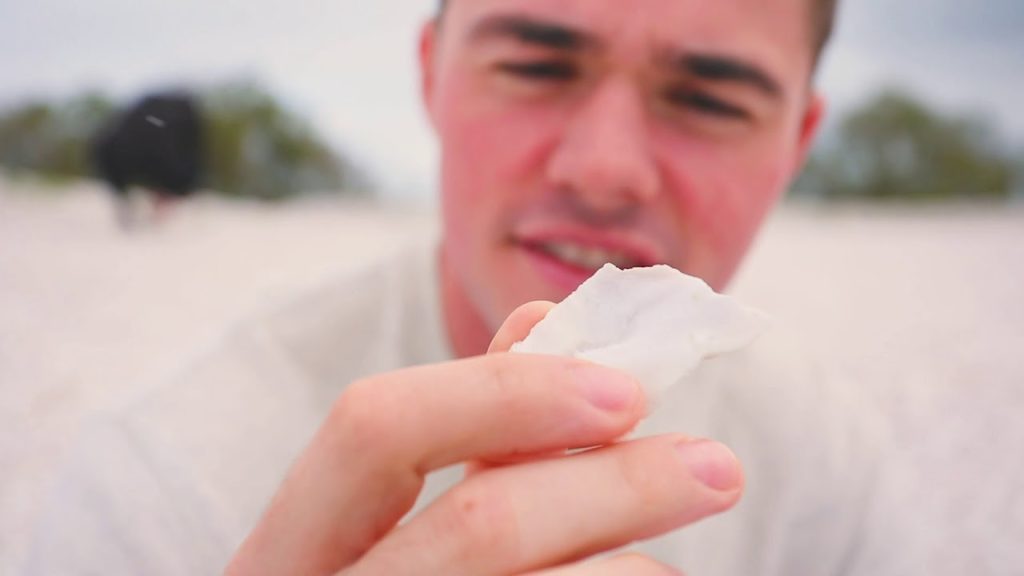 OTOSHIBE Blue Tourism S2