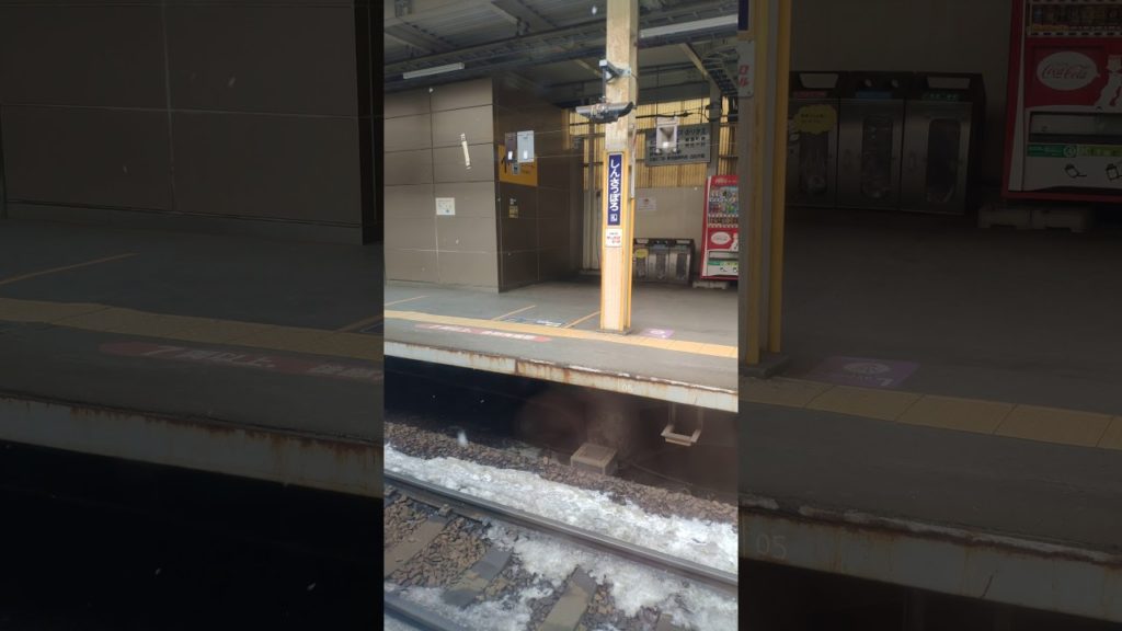 Snow in Sapporo Station 20200215 12:34