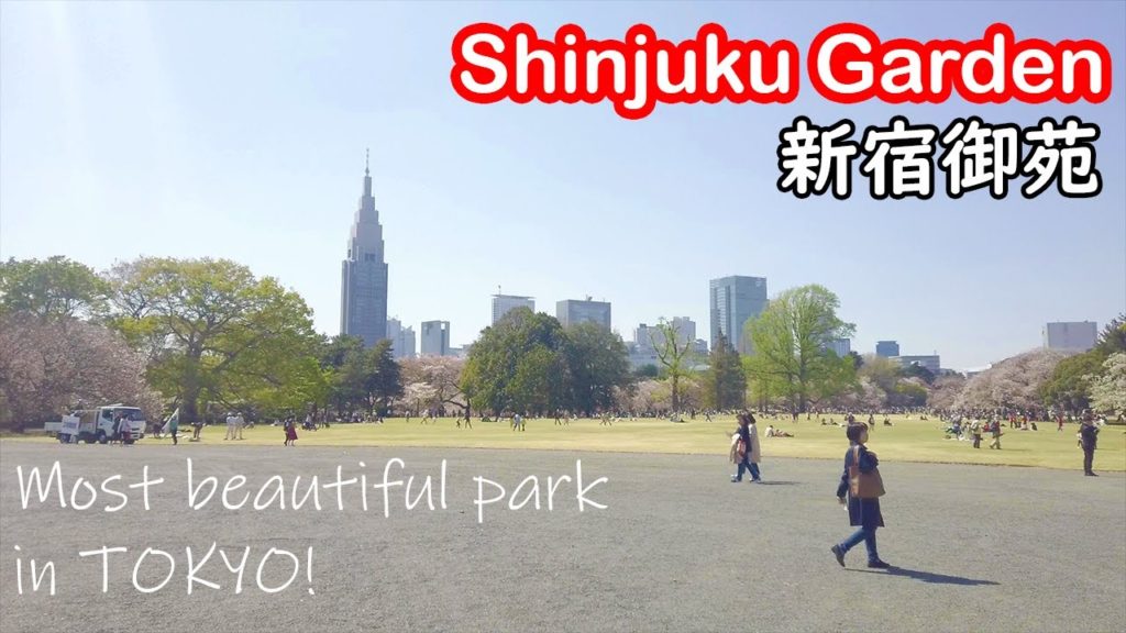 Shinjuku Gyoen National Garden 新宿御苑 | 30-day Japan Trip Travel Vlog #9