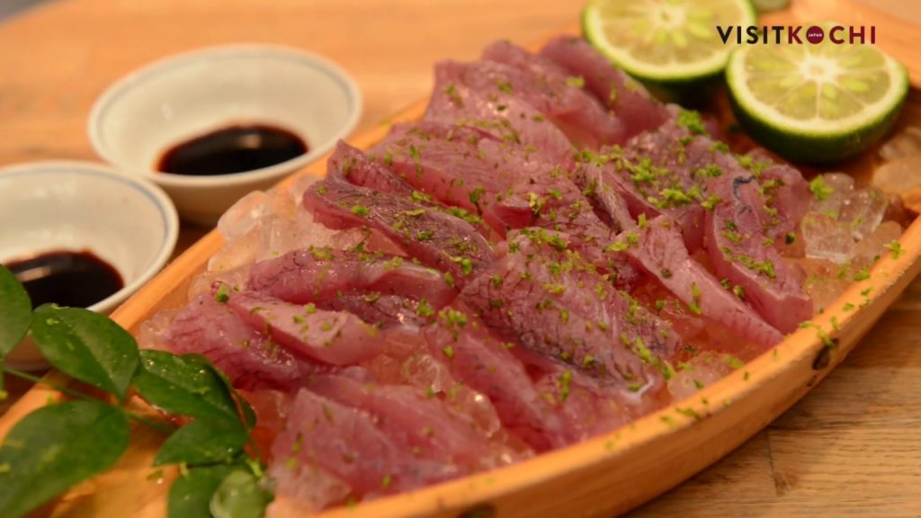 VISIT JAPAN KOCHI Autumn