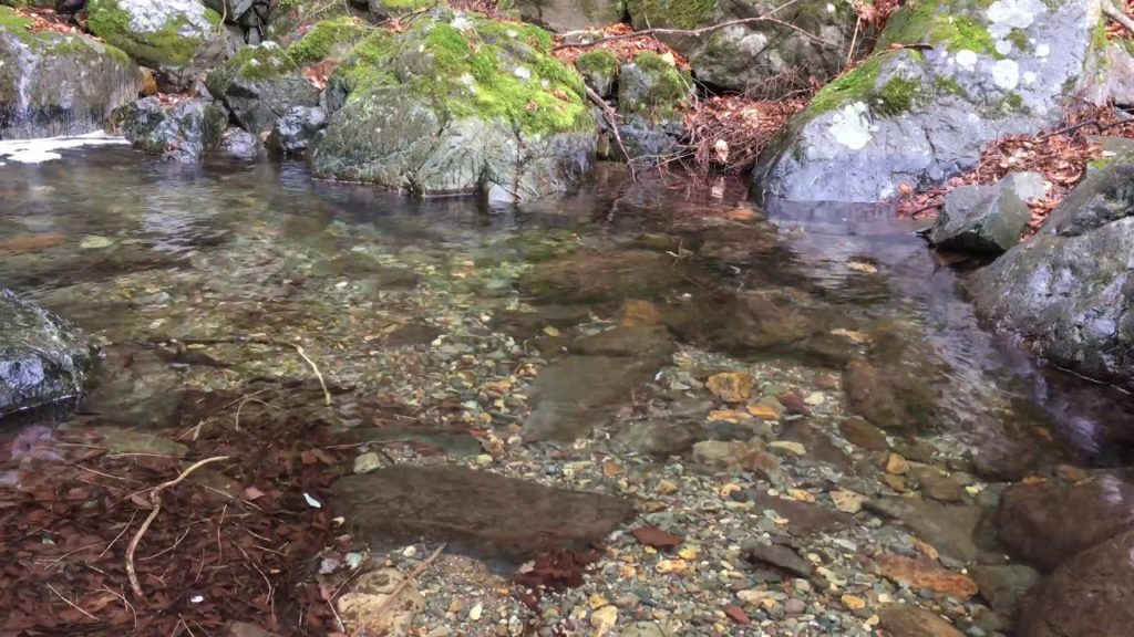 Natural Trip【0079】